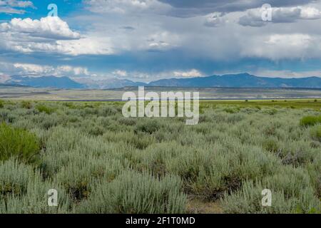 Lunga valle vicino al lago Crowley, Mono County, California. STATI UNITI. Foto Stock