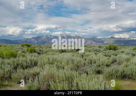 Lunga valle vicino al lago Crowley, Mono County, California. STATI UNITI. Foto Stock