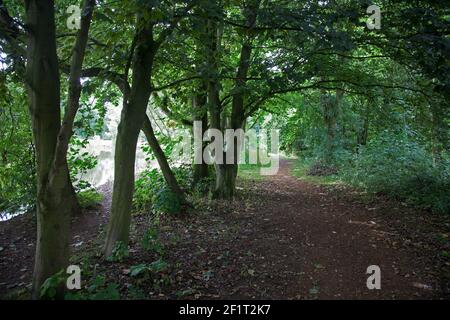 Una tranquilla passeggiata sul lato di un lago a Faringdon, Oxfordshire Foto Stock