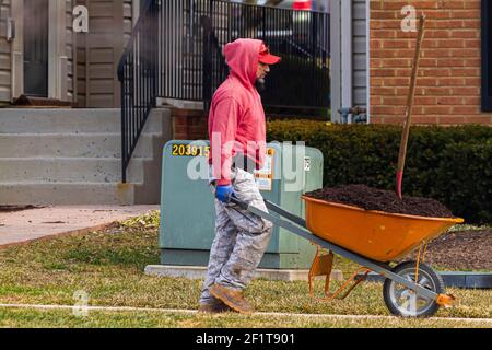 Clarksburg, MD, USA 03-03-3021: Un uomo latino con una barba di capra che indossa una felpa con cappuccio rossa, pantaloni camouflage e stivali da lavoro sta portando un carriola con Foto Stock