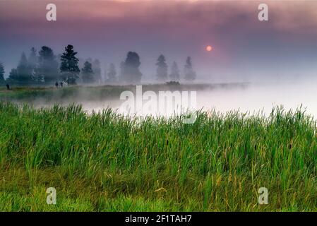 Alba nella nebbia al Lee Metcalf National Wildlife Rifugio Foto Stock