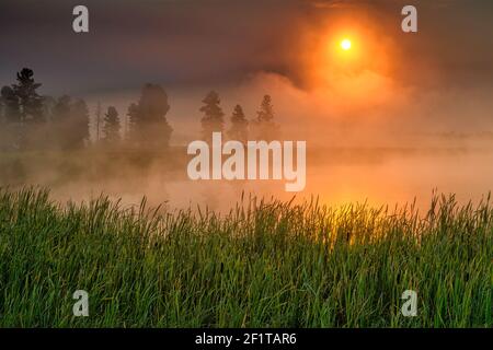 Misty Montana alba Foto Stock