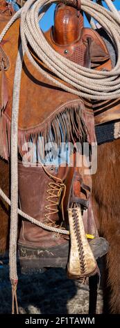 USA, Colorado, Custer County, Westcliffe, Music Meadows Ranch. Dettaglio della mano femminile ranch in tipico abbigliamento Western ranch. Modello rilasciato. Foto Stock