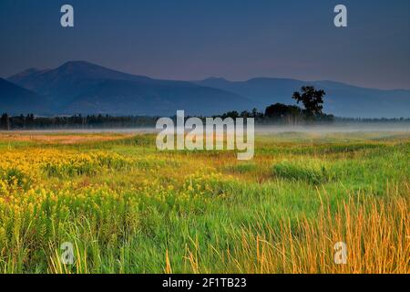 Appartamenti Wetland a Lee Metcalf National Wildlife Refuge, Montana Foto Stock