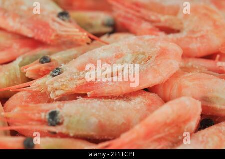 Gamberetti bolliti congelati. Scatto macro. Astratto sfondo di pesce. Foto Stock