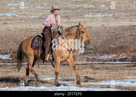 USA, Colorado, Custer County, Westcliffe, Music Meadows Ranch. Ranch femminile mano in tipico ranch occidentale abbigliamento equitazione palomino cavallo. Foto Stock