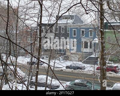 Guardando fuori da Prospect Park attraverso Prospect Park Southwest, in alcune case del XIX secolo nel quartiere Windsor Terrace di Brooklyn, New York. Foto Stock