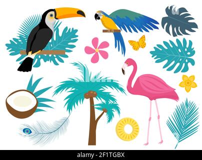 Set di icone tropicali con uccelli e fiori, piatto, stile cartone animato. Collezione esotica di elementi di design con toucan, pappagallo, piante, fenicotteri, fiori Illustrazione Vettoriale