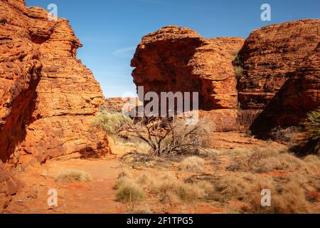 Kings Canyon nel centro dell'Australia Foto Stock