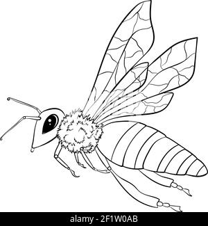 vettore contorno insetti, icona. Pagina da colorare per bambini. Esotico bug  collection.Hand disegnato doodle stile, isolato su sfondo bianco Immagine e  Vettoriale - Alamy