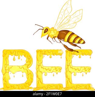 Scritta gocciolamento parola Bee colore giallo con ape di insetto. Illustrazione vettoriale isolata su sfondo bianco. Design del carattere in stile disegnato a mano. Parole per la stampa, banner, poster, libri, icone, adesivi. Illustrazione Vettoriale