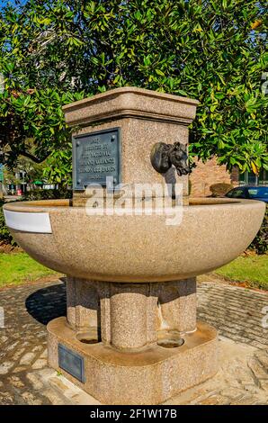 Un canale di irrigazione del 1907, presentato dalla National Humane Alliance, è raffigurato, 6 marzo 2021, in Mobile, Alabama. Foto Stock