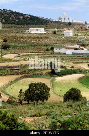 Campi coltivati, fattorie, una moschea e case private in lontananza vicino ad al Habalah, Regione ASiR, Regno dell'Arabia Saudita Foto Stock