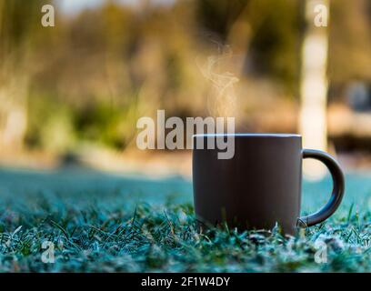Tazza Coffee in giardino in un inverno freddo giorno Foto Stock