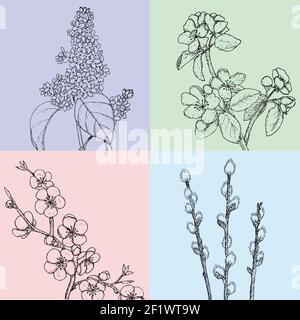 Illustrazioni floreali di primavera disegnate a mano con mela botanica naturale in fiore salice di ciliegio e rami lilla Illustrazione Vettoriale
