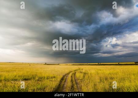 Nuvole tempesta sopra Masai Mara Reserve Foto Stock