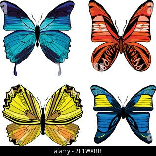 Insetti colorati con diversi tipi di farfalle bianco Illustrazione Vettoriale