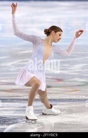 Carolina Kostner dall'Italia, nel corso del programma breve delle XXII Olimpiadi invernali Sotchi 2014, presso il Palazzo dello Sport di Iceberg, il 19 febbraio 2014 a Sochi, in Russia. KMSP / DPPI della piscina fotografica Foto Stock