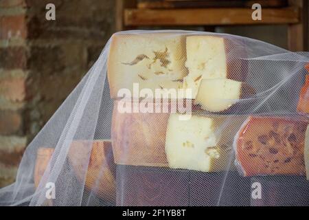 Varietà di formaggi tradizionali in un negozio di formaggi Foto Stock