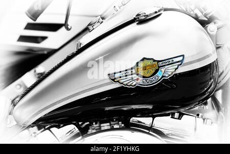 Motocicletta Harley Davidson. Bianco e nero Foto Stock