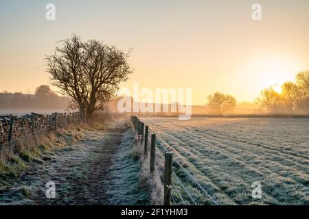 Alba su un sentiero pubblico gelido nella campagna dell'oxfordshire. Crawley, Oxfordshire, Inghilterra Foto Stock