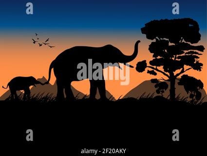 Immagine di silhouette elefante nero che cammina nella foresta con la montagna E tramonto sfondo luce notturna vettore Illustrazione Illustrazione Vettoriale