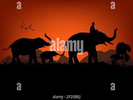 Immagine di silhouette elefante nero con elefante mahout che cammina al foresta con montagna e tramonto sfondo luce vettoriale sera Illustrazione Illustrazione Vettoriale