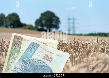 Denaro Polacco zloty PLN e l'agricoltura in Polonia Foto Stock