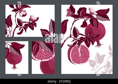 Carte floreali vettoriali, modelli. Melograno con frutti di marone. Illustrazione Vettoriale