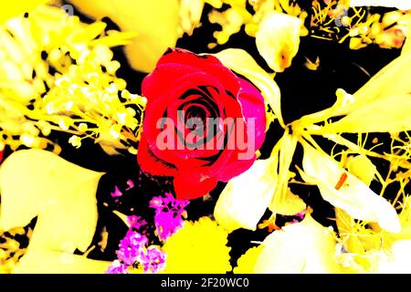 Sfondi testurizzati per banner e pagine web, giochi ecc... Sfondi colorati, con temi floreali ripetitivi. Foto Stock