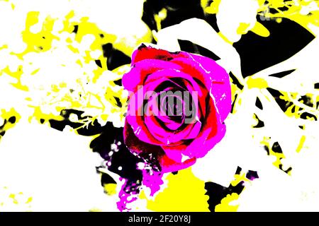 Sfondi testurizzati per banner e pagine web, giochi ecc... Sfondi colorati, con temi floreali ripetitivi. Foto Stock