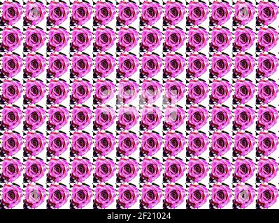 Sfondi testurizzati per banner e pagine web, giochi ecc... Sfondi colorati, con temi floreali ripetitivi. Foto Stock