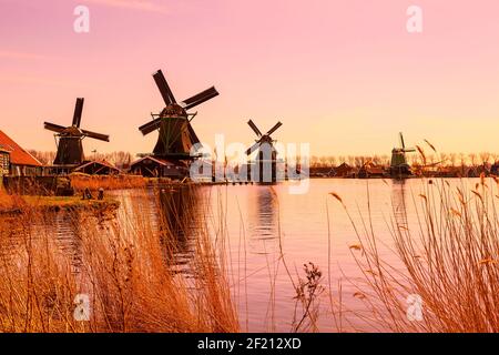 Panorama con mulini a vento a Zaanse Schans, villaggio tradizionale, Paesi Bassi, Olanda del Nord Foto Stock