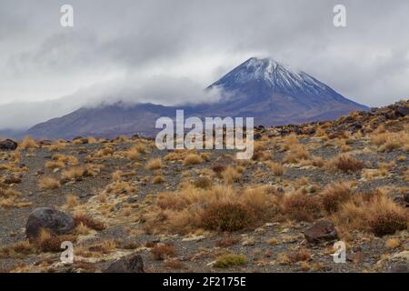 Monte Ngauruhoe, Nuova Zelanda, visto dalla scoria appartamenti del vicino Monte Ruapehu Foto Stock