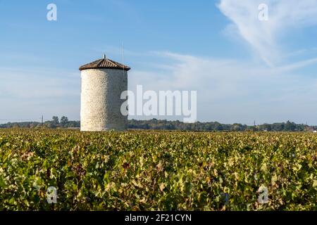 Vista dei bellissimi colori autunnali nei vigneti della Gironda Vicino a Bordeaux con una vecchia torre d'acqua Foto Stock