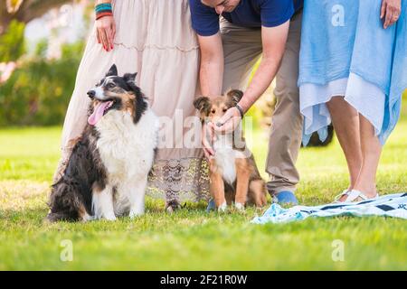 Ritratto di persone umane di famiglia e cane in attività ricreative all'aperto insieme al parco Foto Stock