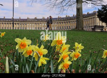 Il Royal Crescent Bath si è messo contro i narcisi in primavera Foto Stock