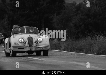 CAGLI, ITALY - Oct 22, 2020: CAGLI , ITALY - OTT 24 - 2020 : JAGUAR XK 120 se OTS 1954 su una vecchia auto da corsa nel rally Mille miglia 2020 la famosa ital Foto Stock