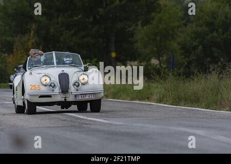 CAGLI, ITALY - Mar 06, 2021: CAGLI , ITALY - OTT 24 - 2020 : JAGUAR XK 120 se OTS 1954 su una vecchia auto da corsa nel rally Mille miglia 2020 la famosa ital Foto Stock