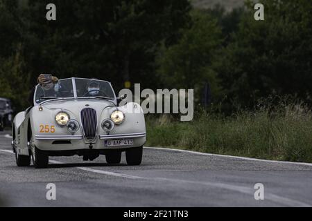 CAGLI, ITALY - Oct 22, 2020: CAGLI , ITALY - OTT 24 - 2020 : JAGUAR XK 120 se OTS 1954 su una vecchia auto da corsa nel rally Mille miglia 2020 la famosa ital Foto Stock