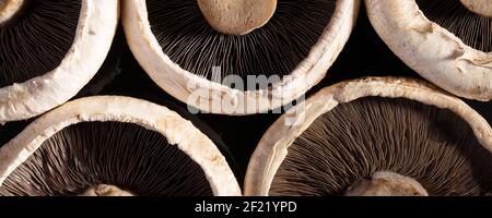 primo piano funghi portobello, immagine panoramica di sfondo Foto Stock