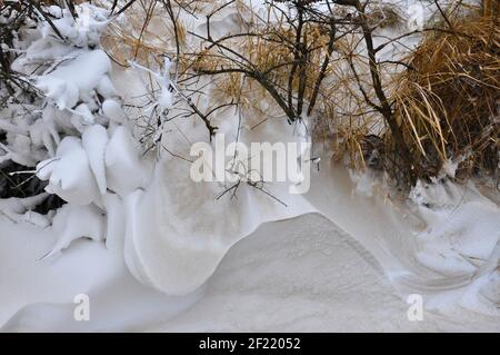 Dune paesaggio con erbe nella neve in nero drammatico e colori bianchi Foto Stock