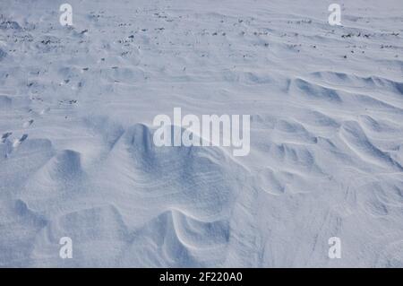 Campo da neve con derive bel contrasto chiaro scuro Foto Stock