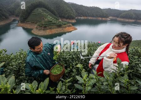 (210310) -- PECHINO, 10 marzo 2021 (Xinhua) -- UN volontario aiuta i coltivatori di tè a vendere il tè di primavera in linea nel comune di Lishang della contea di Chun'an, la provincia di Zhejiang della Cina orientale, 27 febbraio 2021. (Xinhua/Xu Yu) Foto Stock