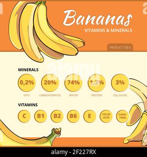 Informazioni vettoriali su banane e vitamine. Informazioni su cibo, alimentazione fresca e illustrazione della salute Illustrazione Vettoriale