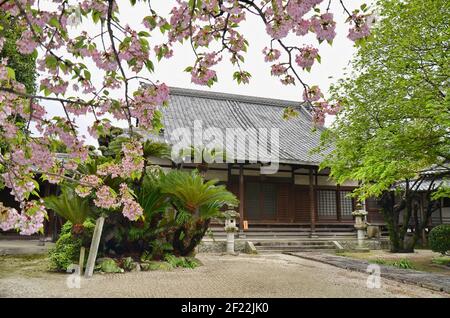 Architettura tradizionale nella città vecchia di Hakata durante la primavera, Fukuoka città, Giappone. Foto Stock