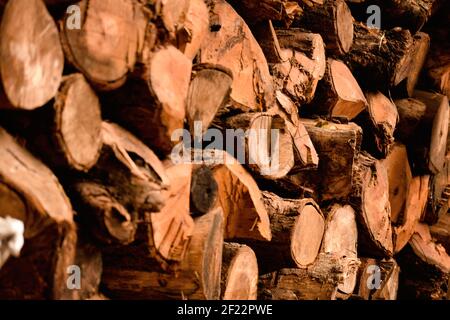 Taglio tronchi di legno di alberi impilati su uno ad uno che è per vendere come legna da ardere in discesa. Messa a fuoco selettiva utilizzata. Foto Stock