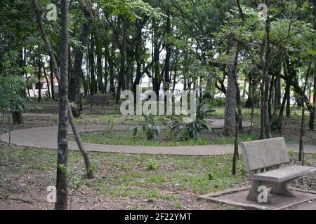 Percorso in cemento al centro della piazza alberata della città del Brasile, Sud America in vista panoramica Foto Stock