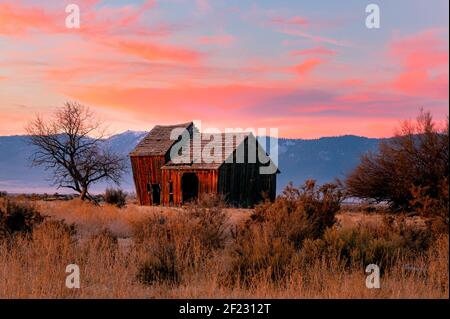 Run down / abbandonato vecchio fienile agricolo nella contea rurale di Lassen, California, Stati Uniti. Catturato nella luce del mattino durante l'inverno con nuvole pastello. Foto Stock