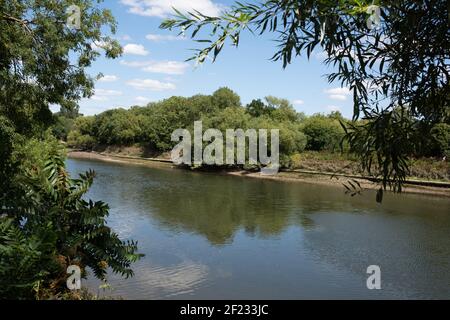 Il fiume Tamigi da Old Deer Park a Richmond-upon-Thames e Kew in una giornata estiva. Foto Stock